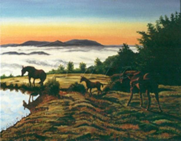 Brume sur la vallée