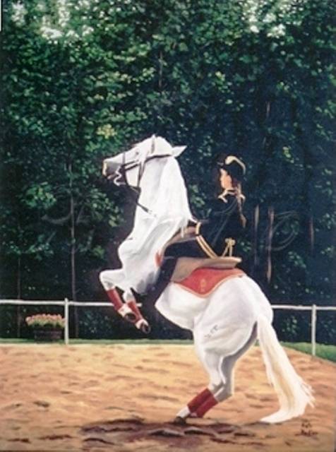 Lipizzan (2)