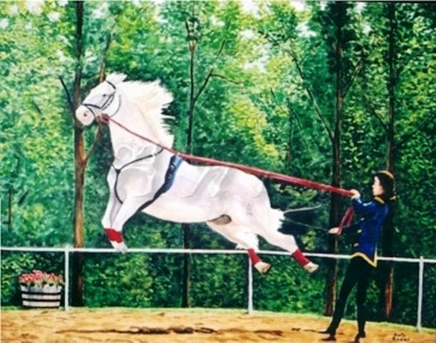 Lipizzan (4)