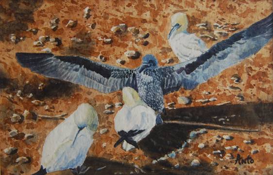 Toutes ailes déployées